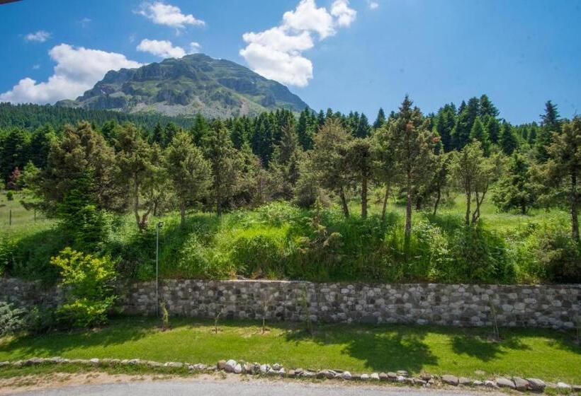 اتاق دوبلکس, Orizontes Tzoumerkon Hotel Resort