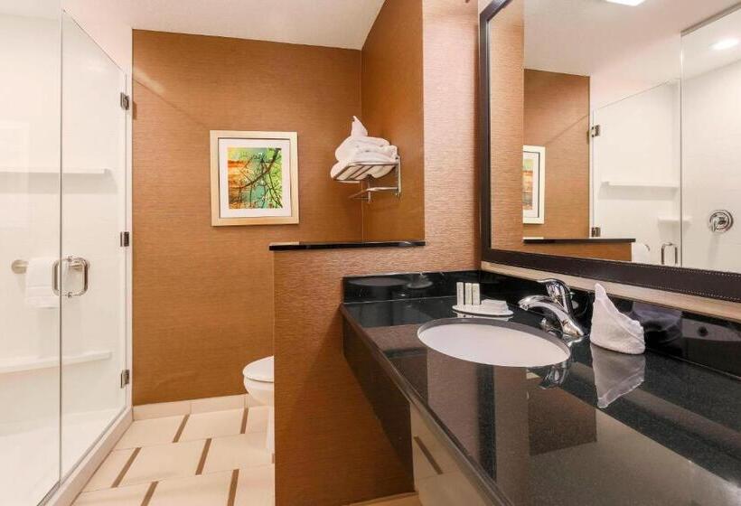 Стандартный Номер Кровать Кинг, Fairfield Inn & Suites By Marriott Pleasanton