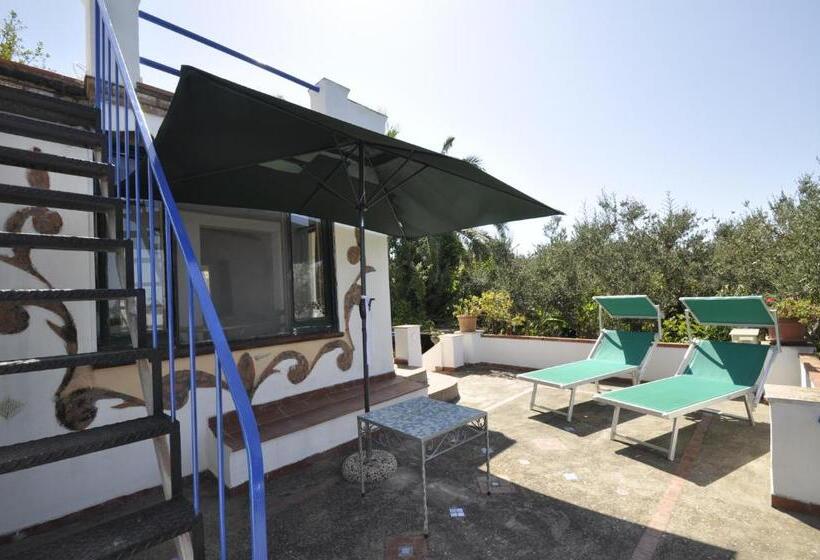 اتاق استاندارد با تراس و چشم‌انداز دریا, Villa Eva