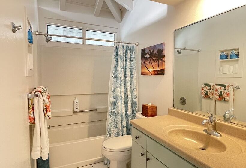 Номер Стандарт, Big Island Retreat