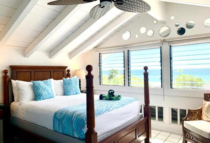 Люкс Вид на Море, Big Island Retreat