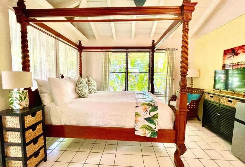 Номер Стандарт, Big Island Retreat