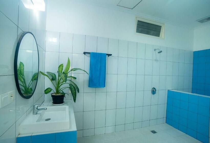 سرير فى غرفة مشتركه, Mad Monkey Kuta Lombok