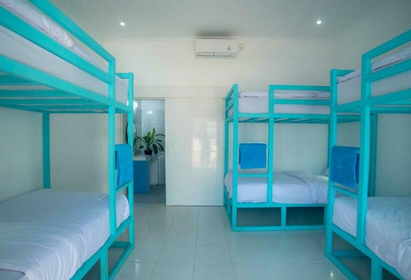 سرير فى غرفة مشتركه, Mad Monkey Kuta Lombok