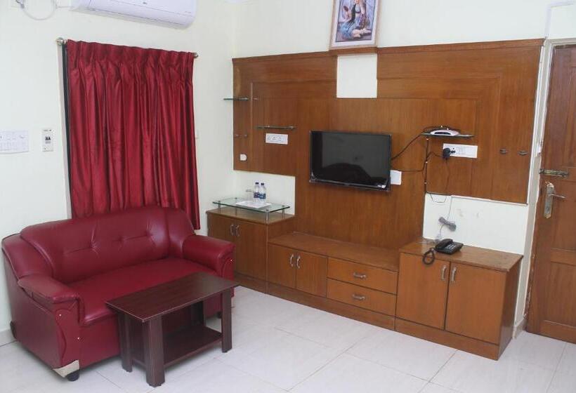 스탠다드 룸 킹사이즈 침대, Skyry Hotels T Nagar