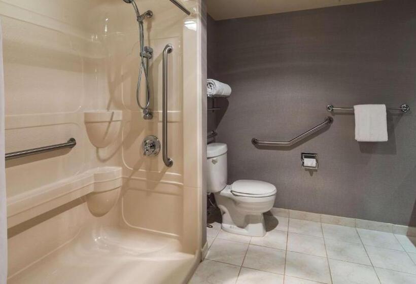 חדר סטנדרט עם מיטת קינג, Best Western Plus The Arden Park