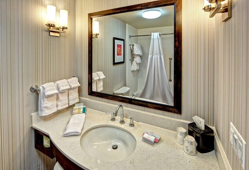 适合残疾人士使用的带超级大床的标准间, Hilton Garden Inn Memphis/wolfchase Galleria
