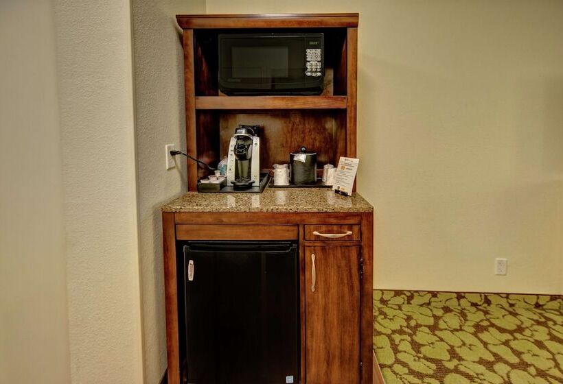 适合残疾人士使用的带超级大床的标准间, Hilton Garden Inn Memphis/wolfchase Galleria
