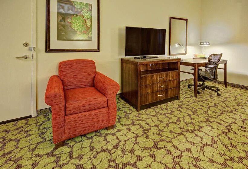 适合残疾人使用的标准间, Hilton Garden Inn Memphis/wolfchase Galleria
