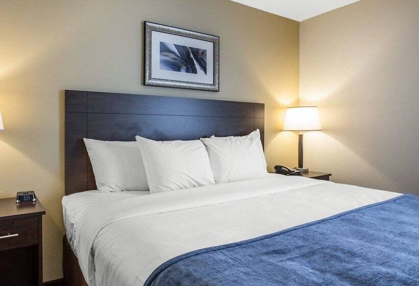 Люкс, Mainstay Suites Cartersville