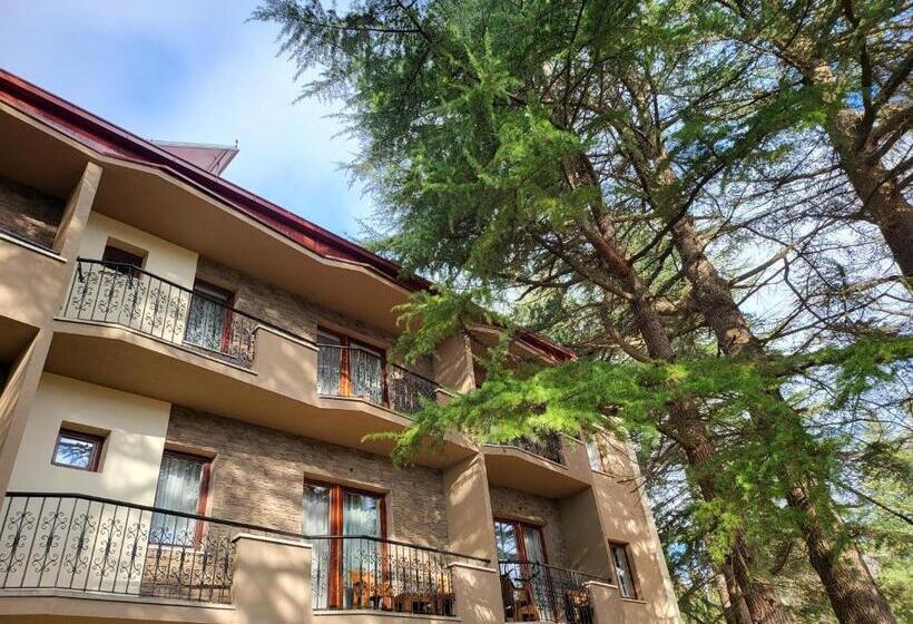 اتاق استاندارد چهارنفره با بالکن, Mayberry Lake   Villa Medijapark