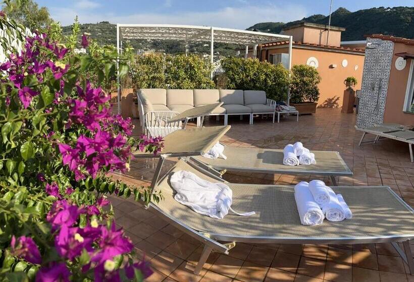 Номер Deluxe, The Rooftop Terrace B&b