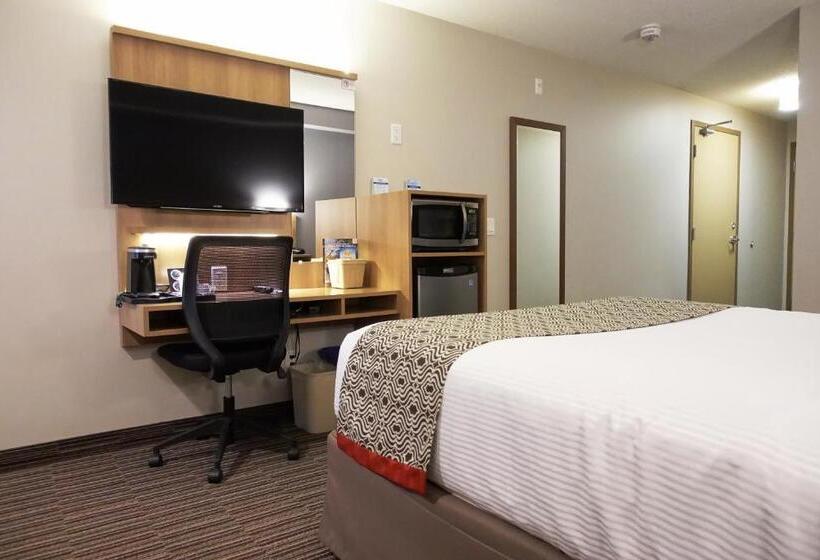 חדר סטנדרט מותאם לאדם עם מוגבלויות, Microtel Casselman