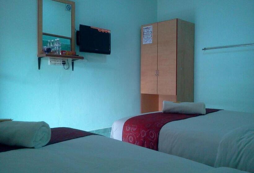 اتاق استاندارد, Rose Inn Motel