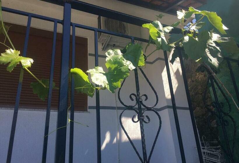 اتاق استاندارد چهار تخته, Joni S House