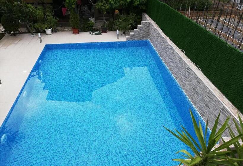 سوئیت جونیور با چشم‌انداز باغ, Lile Pestani Accommodation