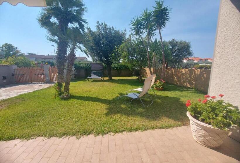 استودیوی استاندارد, Villa Happy Days