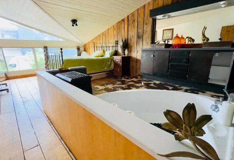 Номер Стандарт, Carwyns Surf House