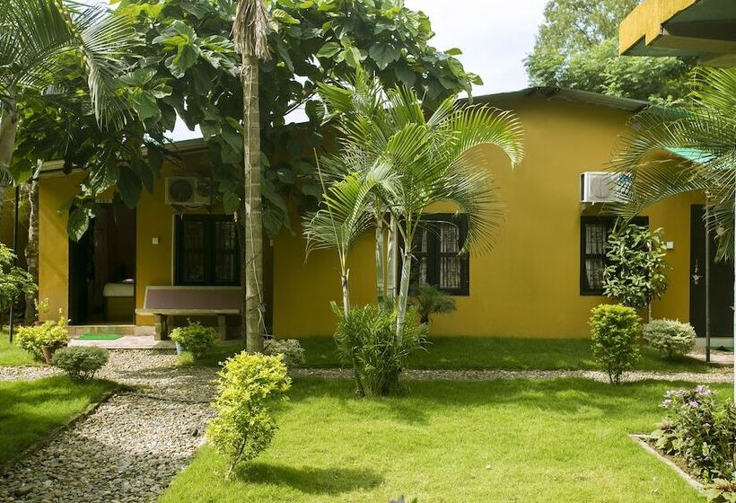Standard Triple Room, Sauraha Nana