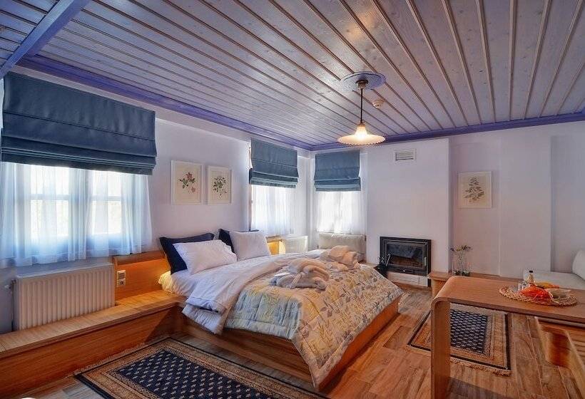 Полулюкс Одноместный с Террасой, Dilofo Hotel Luxury Suites