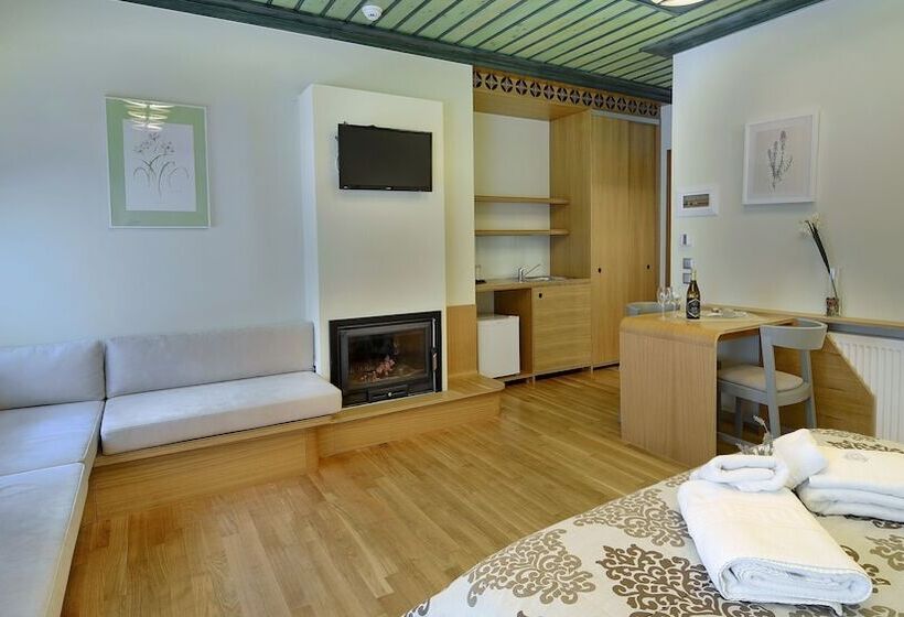 Люкс Повышенной Комфортности, Dilofo Hotel Luxury Suites
