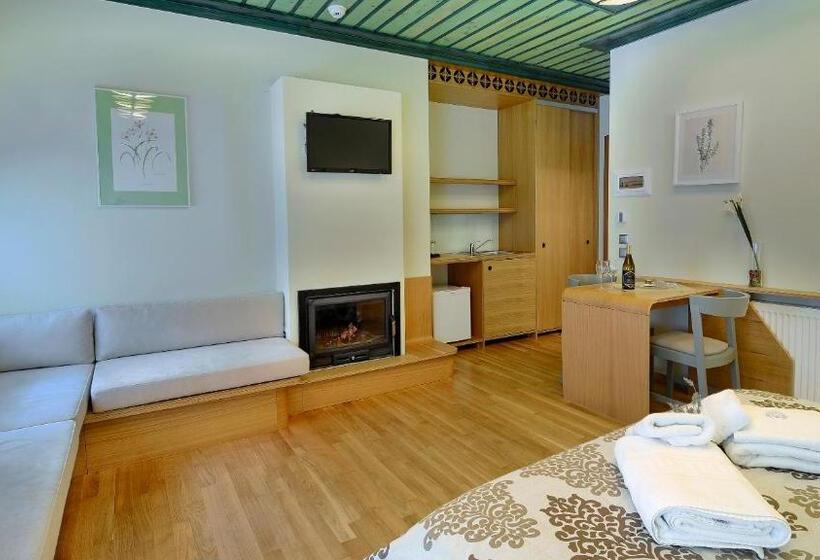Люкс Повышенной Комфортности, Dilofo Hotel Luxury Suites