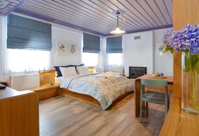 Полулюкс Одноместный с Террасой, Dilofo Hotel Luxury Suites