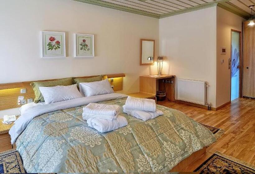 Полулюкс, Dilofo Hotel Luxury Suites