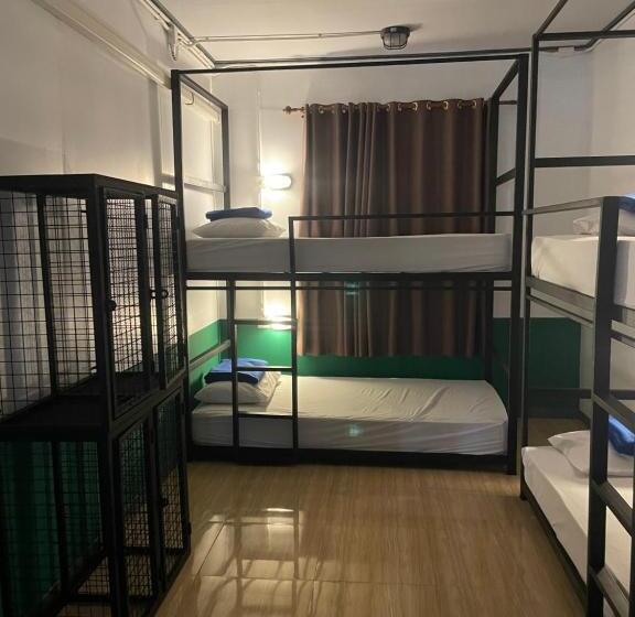 공동 객실, Revolution Hostel Pai