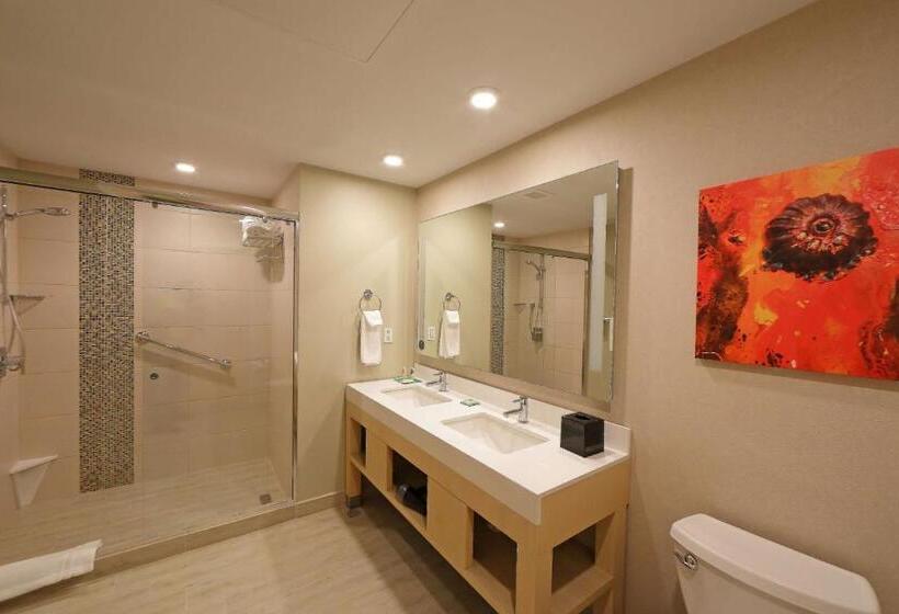 سوئیت با تخت بزرگ, Hyatt Place Tegucigalpa