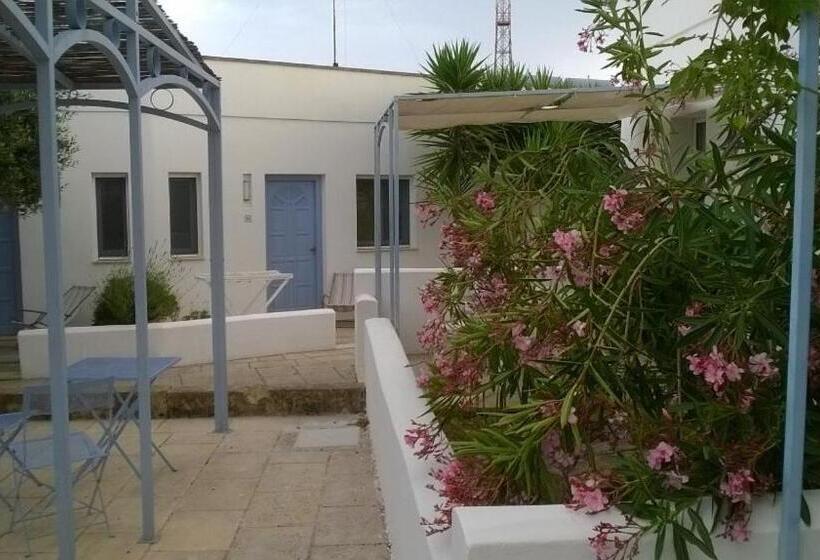 Номер Стандарт, Tenuta De Marco