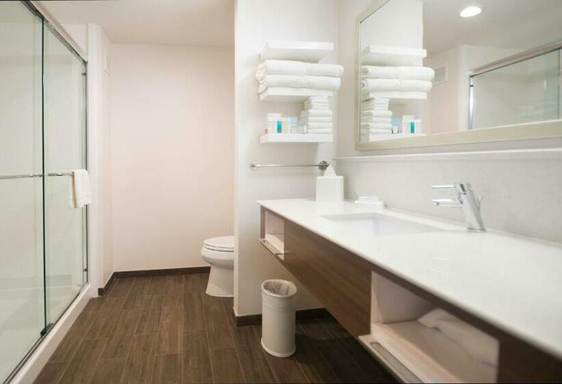 디럭스 스위트 킹 침대, Hampton Inn & Suites La Porte