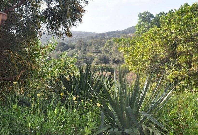 Вилла 4 Спальни, Résidence Maora Village