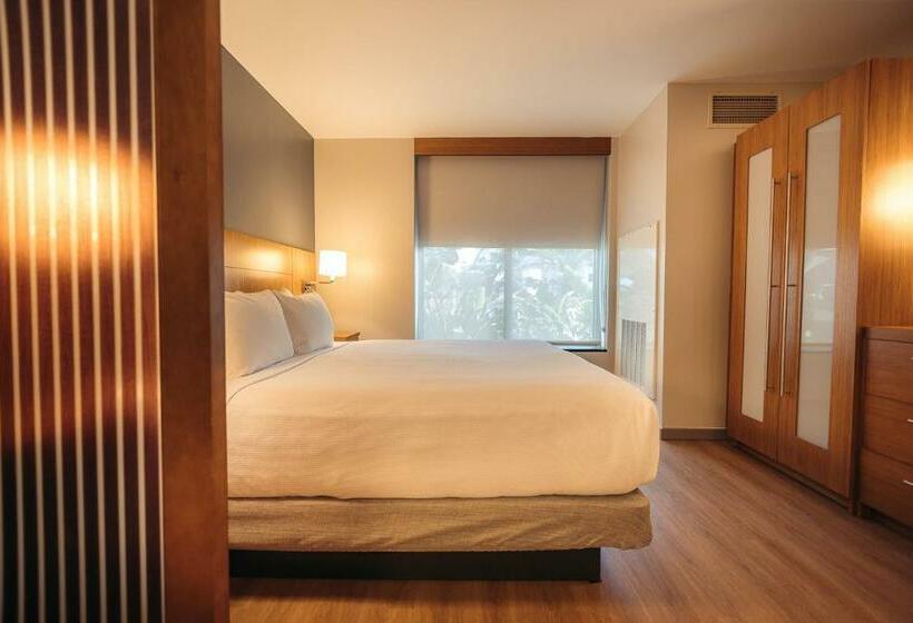 اتاق استاندارد با تخت بزرگ, Hyatt Place San Juan