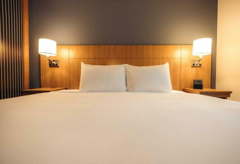 اتاق استاندارد با تخت بزرگ, Hyatt Place San Juan