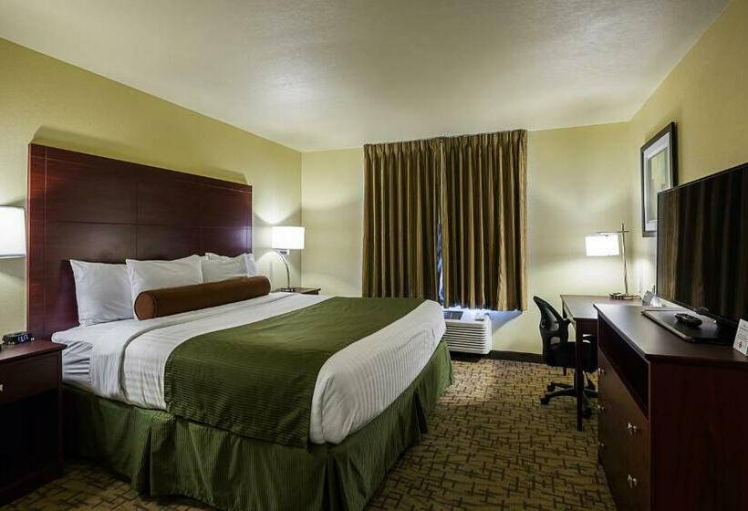 חדר סטנדרט עם מיטת קינג, Cobblestone Inn & Suites  Altamont