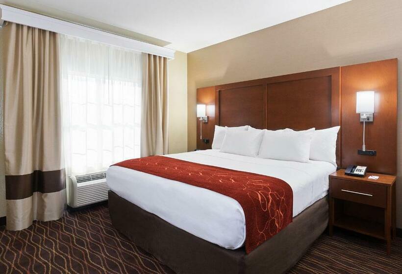 جناح سرير كينج, Comfort Suites Dubois