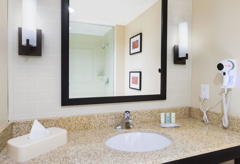 Люкс Адаптированный для Инвалидов, Comfort Suites Dubois