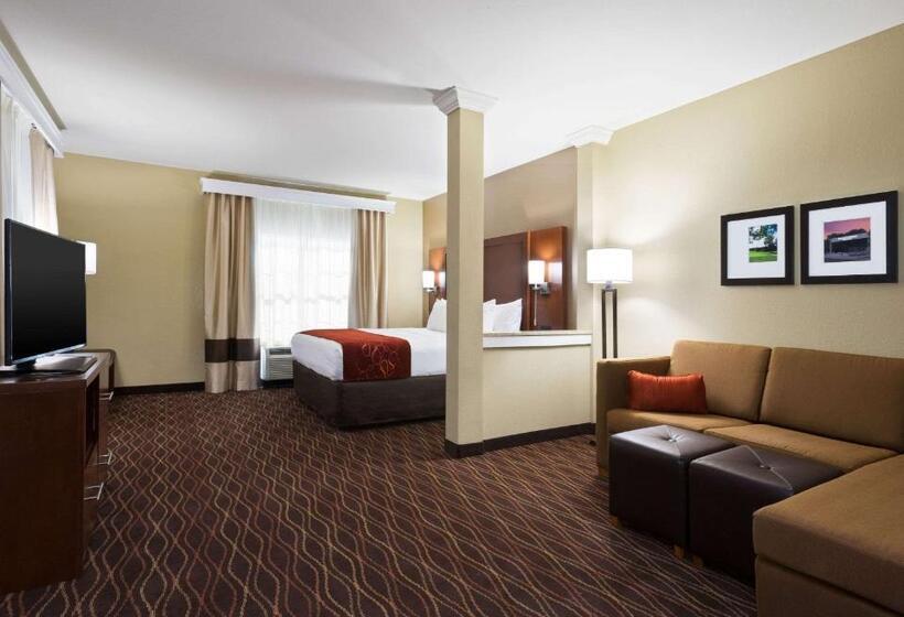 Люкс Адаптированный для Инвалидов, Comfort Suites Dubois