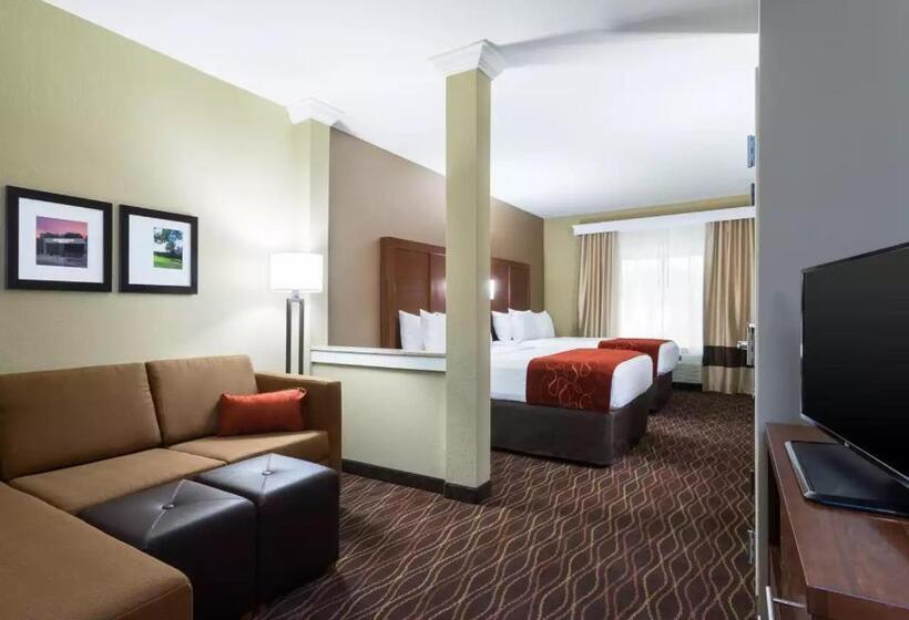 Люкс Адаптированный для Инвалидов, Comfort Suites Dubois
