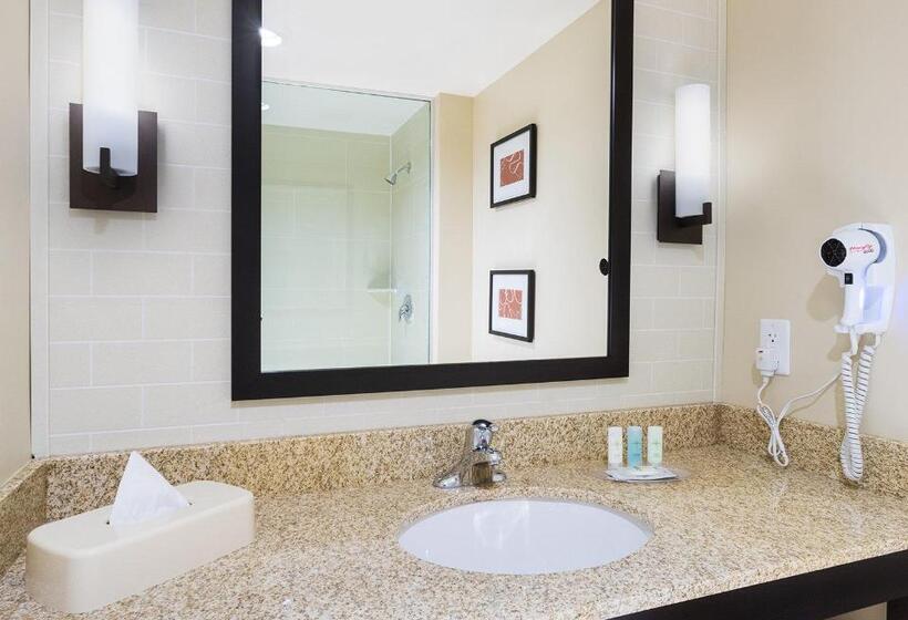 جناح لذوى الاحتياجات الخاصة, Comfort Suites Dubois