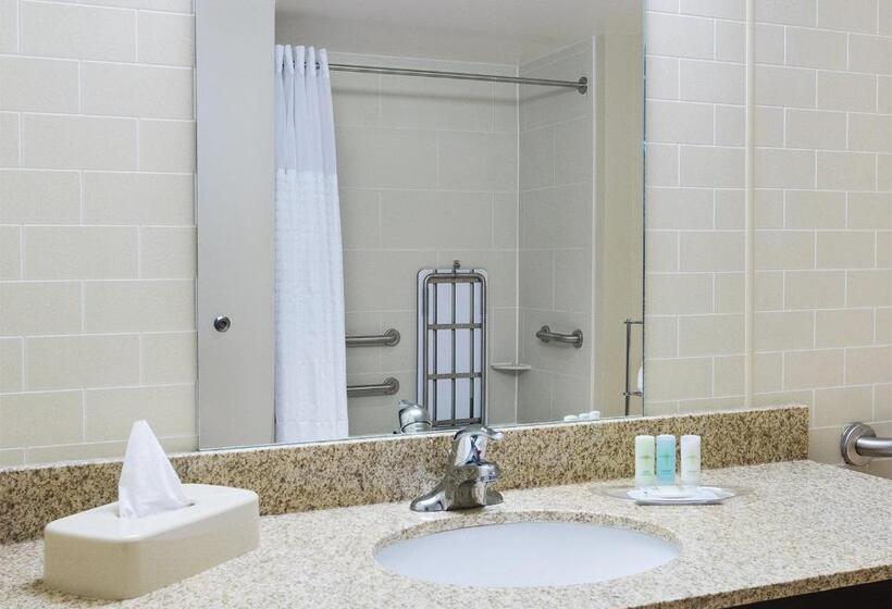 Люкс Адаптированный для Инвалидов, Comfort Suites Dubois