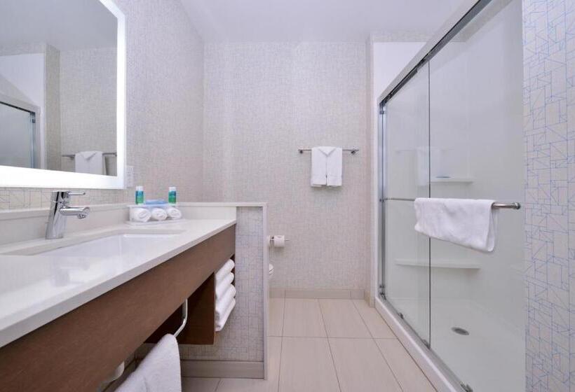 Номер Стандарт Кровать Кинг Адаптированный для Инвалидов, Holiday Inn Express & Suites Madison, An Ihg