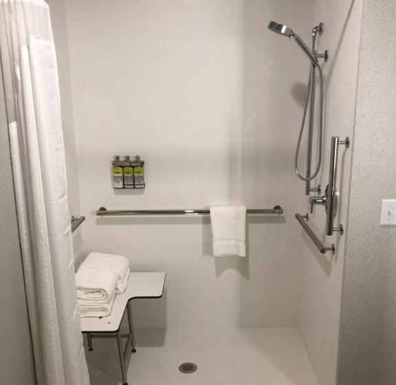Номер Стандарт Кровать Кинг Адаптированный для Инвалидов, Holiday Inn Express & Suites Madison, An Ihg