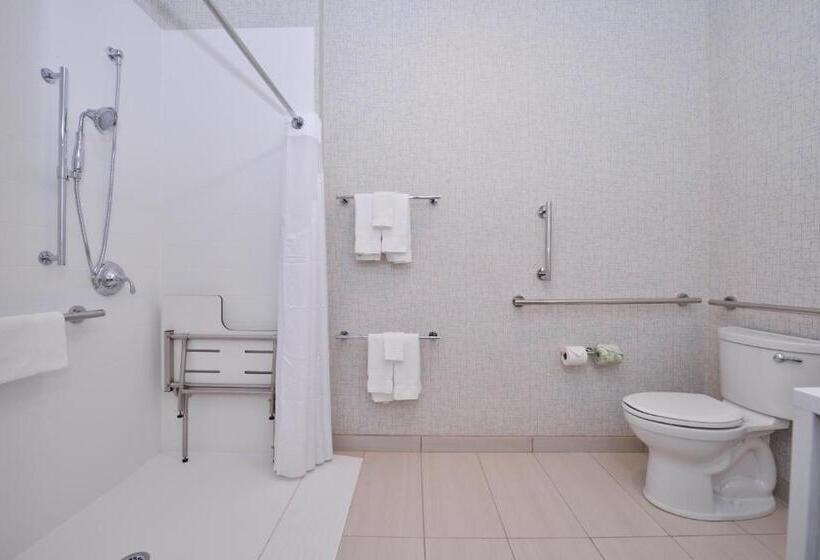 Люкс Адаптированный для Инвалидов, Holiday Inn Express & Suites Madison, An Ihg