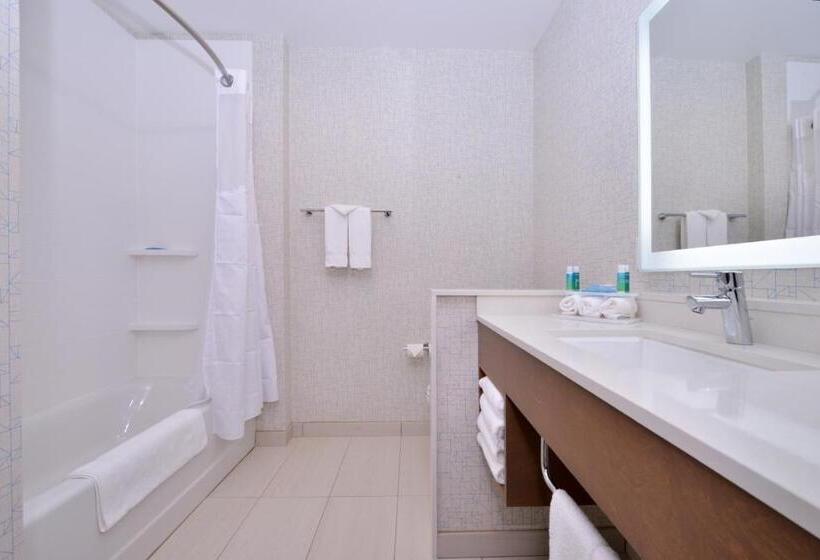 Люкс Адаптированный для Инвалидов, Holiday Inn Express & Suites Madison, An Ihg
