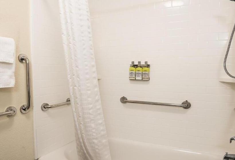身障者適用スイートルーム, Candlewood Suites Bay City, An Ihg