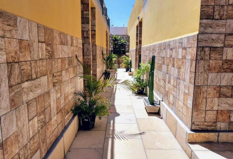 스탠다드 룸, Jardim Dos Orixás