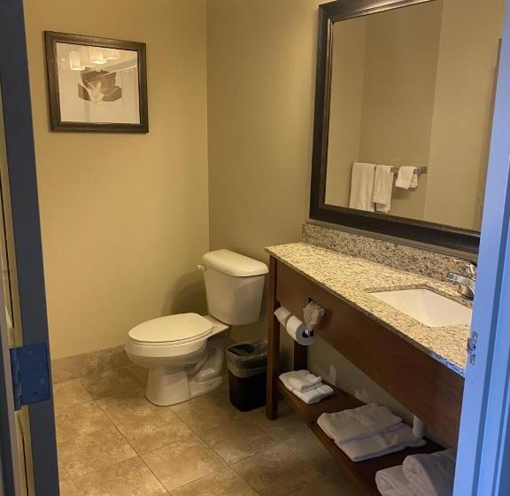 스탠다드 룸 킹사이즈 침대, Americinn By Wyndham Hartford Sd
