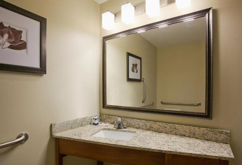 장애인을 위한 킹사이즈 침대 스탠다드 룸, Americinn By Wyndham Hartford Sd